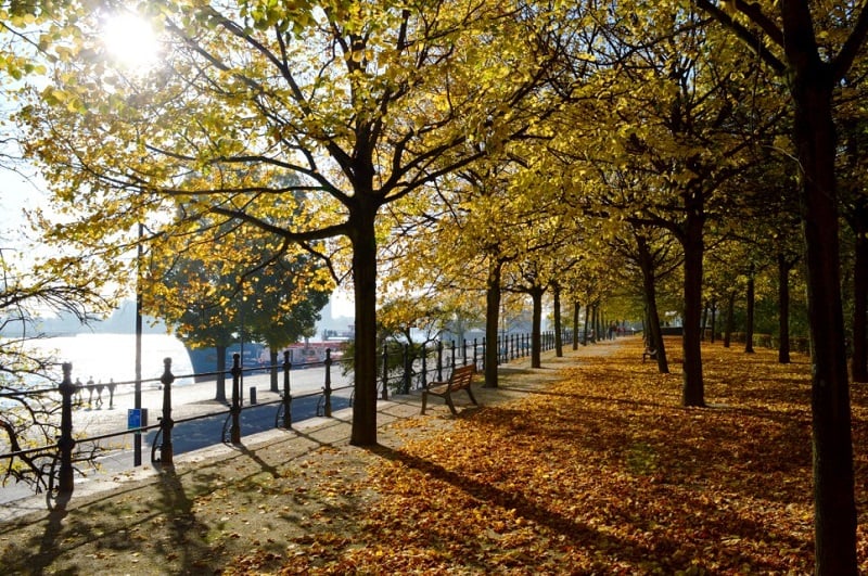 Outono em Roterdã